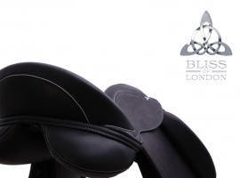 Liberty Dressage with Grey welting