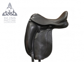 Paramour Dressage 
