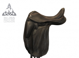 Paramour Dressage Frank Hosmar
