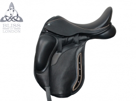 Paramour Dressage