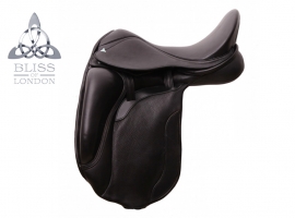 Paramour Dressage