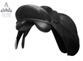 Regency Dressage
