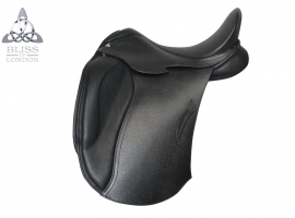 Regency Dressage
