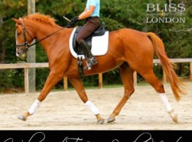 Tiffani Loudon Meetze