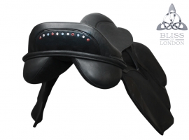 Paramour Dressage