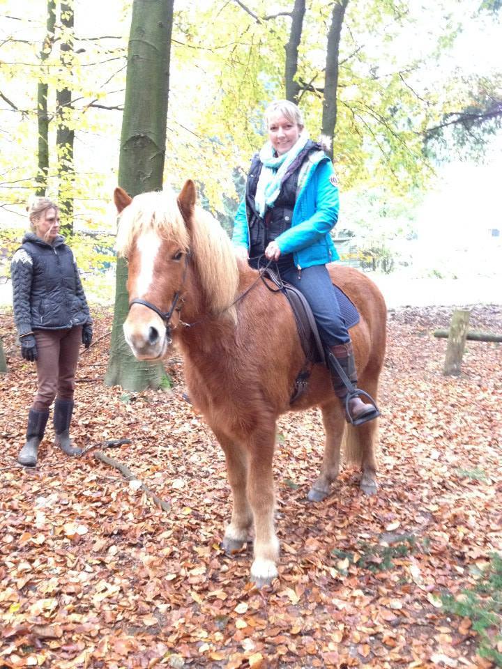 1452248_578764015512126_1909604161_n