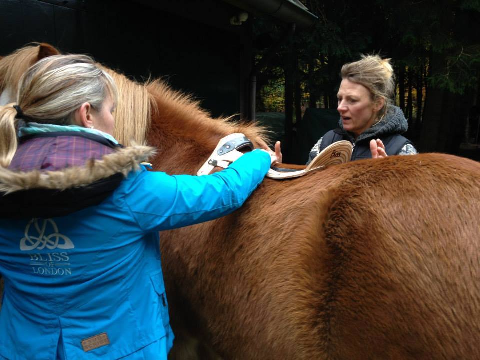 1463086_578763935512134_283347426_n