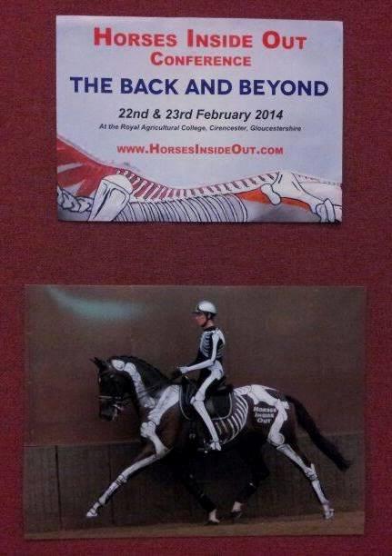 993015_774563102572814_1770247003_n